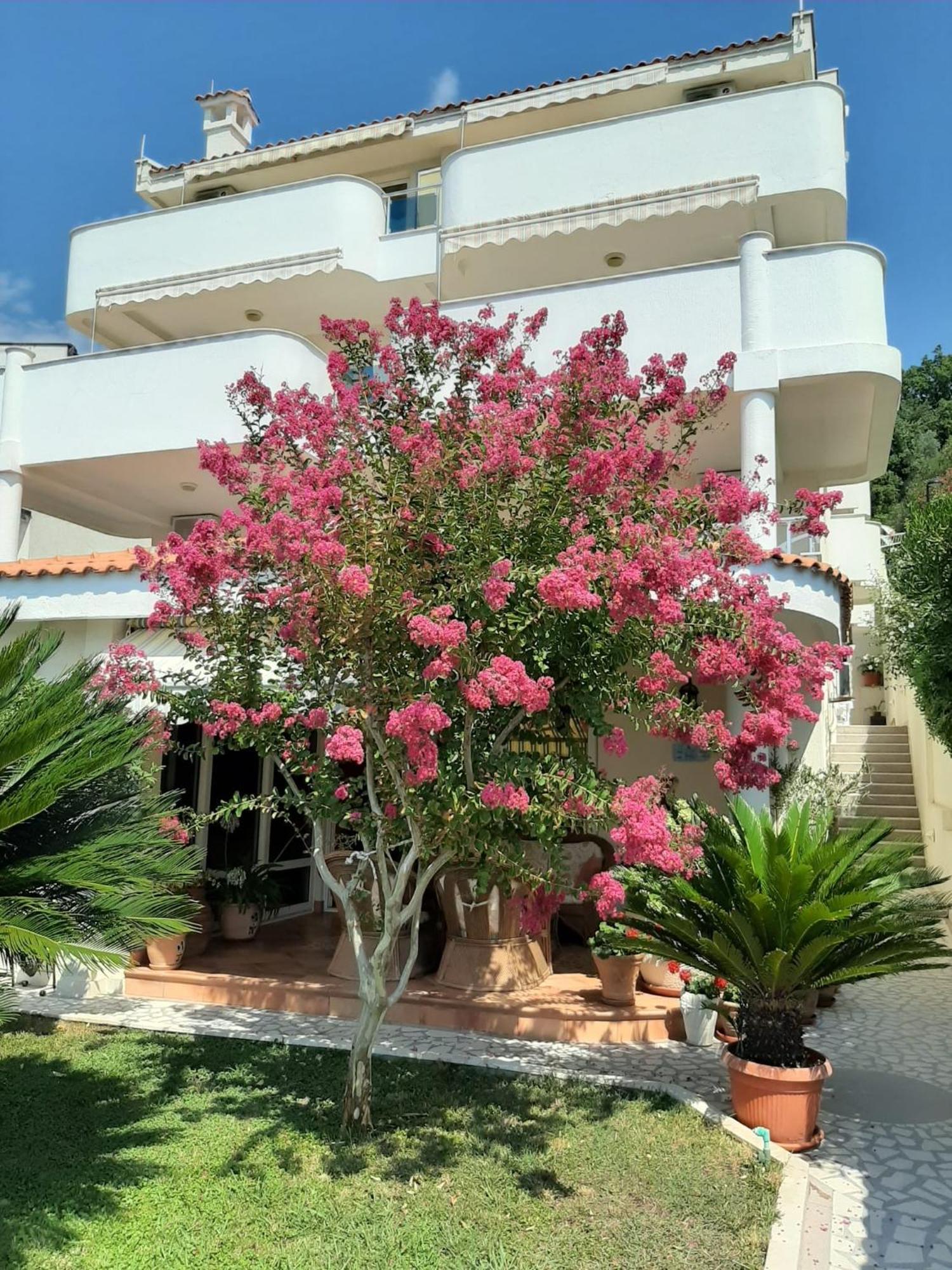 Apartments Villa Mare Mar Sutomore Eksteriør billede